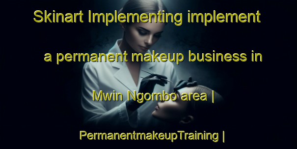 Skinart Implementing implement a permanent makeup business in Mwin Ngombo area | PermanentmakeupTraining | PermanentmakeupClasses | SkinartTraining-the Democratic Republic of the Congo